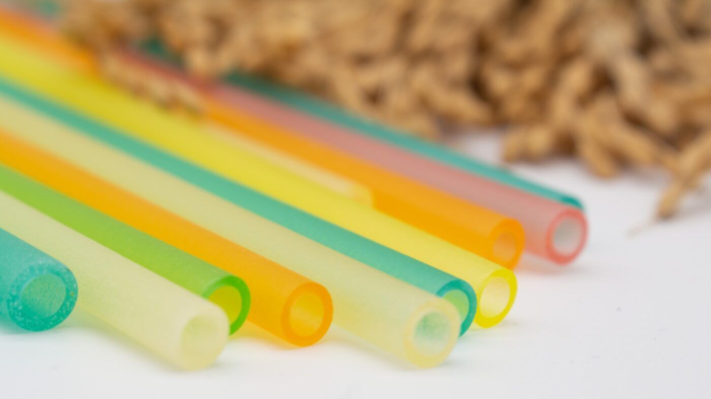 夢を実現する力と環境学習 〜感じる → 考える → 動く 探究ワークショップ〜のプログラムimage1